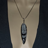 Orthoceras fossil and silver pendant