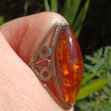 large marquise Amber ring