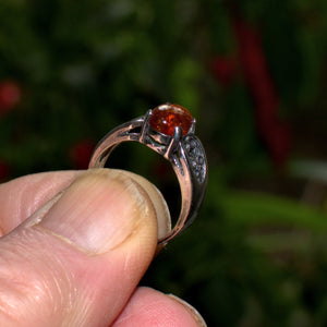 Amber and sterling silver ring