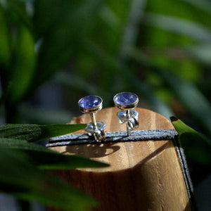 Tanzanite and silver stud earrings