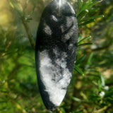 polished fossil and silver pendant reverse