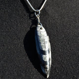 Orthoceras fossil and silver pendant