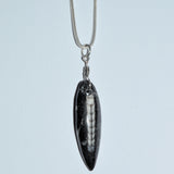 Orthoceras fossil and silver pendant