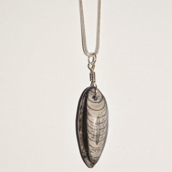 orthoceras fossil sterling silver pendant