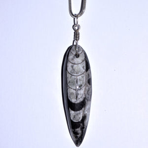 sterling silver and Orthoceras pendant