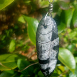 black stone fossil silver pendant necklace