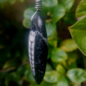 black polished fossil and silver pendant